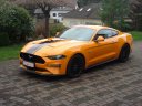 Mustang Fastback 2018