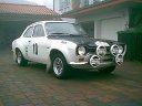 Escort Twin Cam Gr 2 EX Pischkal