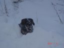 Unsere Kampfmaschine Spider