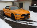 Mustang Cabrio 2018