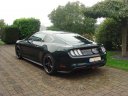 Mustang Bullitt